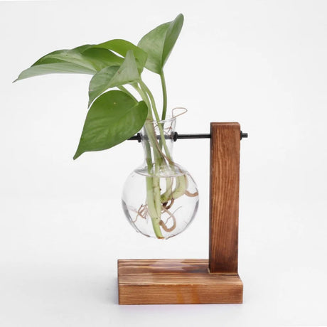 Vase de bureau hydroponique Vintage pour plantes